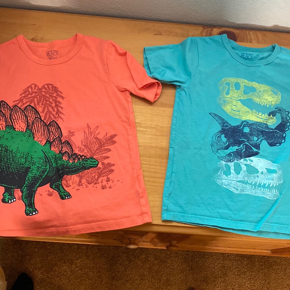 Children place dinosaur tee